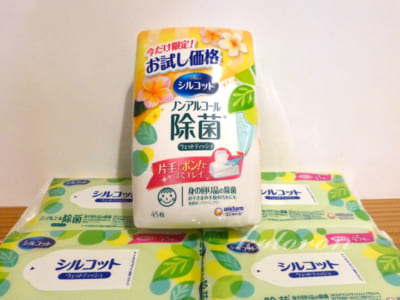 おすすめウェットティッシュ 日常にもキャンプにも