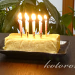 濃厚ふわとろ、半熟スフレチーズケーキ