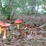 今年も榛名湖オートキャンプ場へ行ってきました