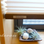 [窓に付けるもの2]プリーツスクリーンのススメ＆シクラメン