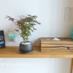 [Web内覧会31][玄関11]虫の侵入を防ぐ！＆スマホ手袋