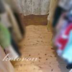 [Web内覧会63][WIC4]たっぷり吊るす収納＆ペットカメラ