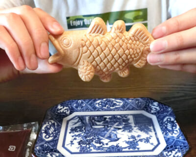 サクッサクなシーラカンスもなか