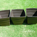 スクエア型の植木鉢を追加購入