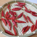 今年も唐辛子を収穫できました