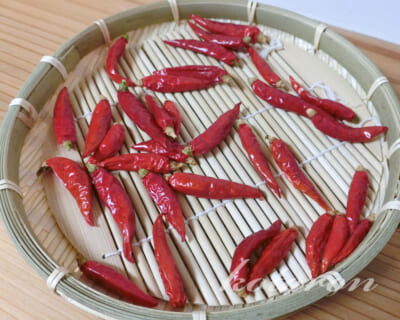 今年も唐辛子を収穫できました