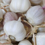 ニンニクの長期保存＆植える準備