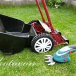 【TM9】今年最後の芝刈りをしました