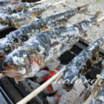 自宅でマスの塩焼きバーベキューのコツ