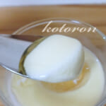 ヨーグルトに「果汁入り蜂蜜」全4種類試してみました