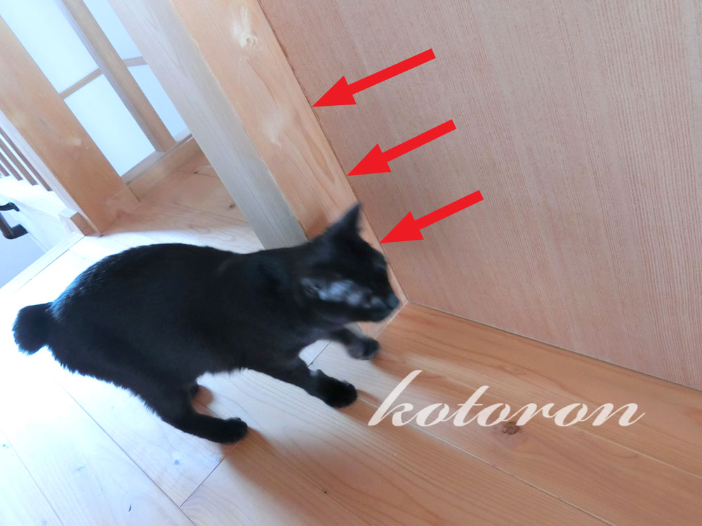 猫の侵入防止・引き戸(スライドドア)を開けられないように  kotoron 