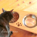 可愛くて食べやすい「ペットフードスタンド」天然竹製